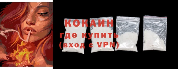 бошки Белокуриха
