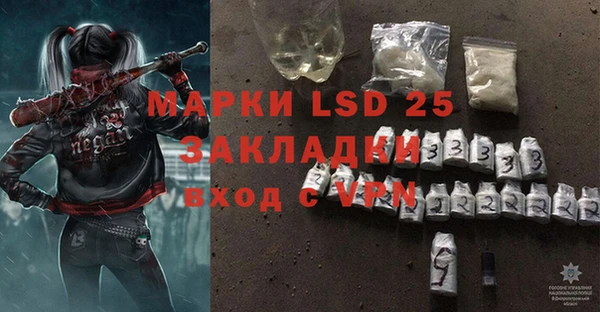стафф Арсеньев