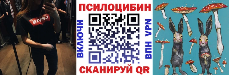 Псилоцибиновые грибы Psilocybine cubensis Шилка