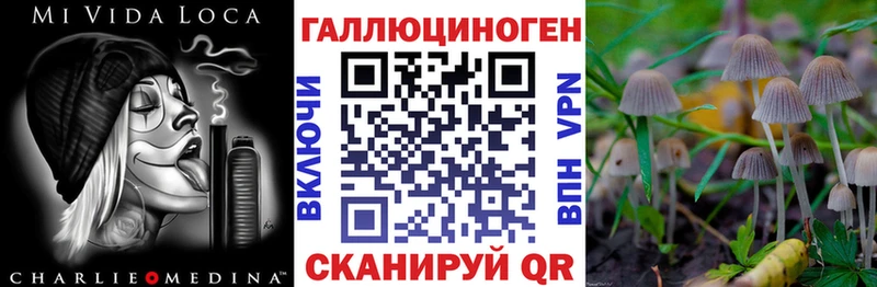 Псилоцибиновые грибы Magic Shrooms  Шилка 